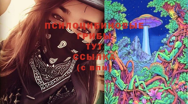 хмурый Абинск